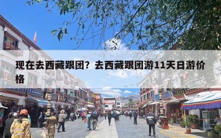 现在去西藏跟团？去西藏跟团游11天日游价格