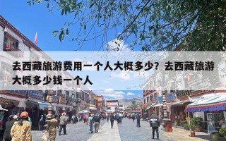 去西藏旅游费用一个人大概多少？去西藏旅游大概多少钱一个人