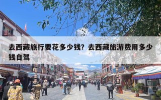 去西藏旅行要花多少钱？去西藏旅游费用多少钱自驾