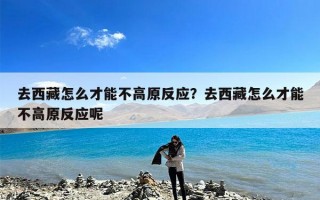 去西藏怎么才能不高原反应？去西藏怎么才能不高原反应呢