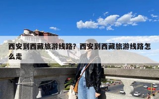 西安到西藏旅游线路？西安到西藏旅游线路怎么走