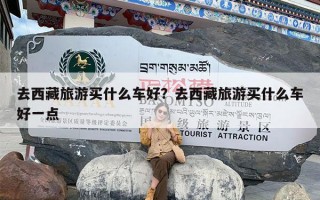 去西藏旅游买什么车好？去西藏旅游买什么车好一点