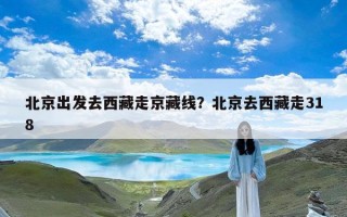 北京出发去西藏走京藏线？北京去西藏走318
