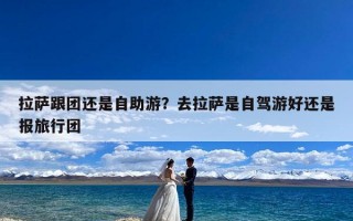 拉萨跟团还是自助游？去拉萨是自驾游好还是报旅行团