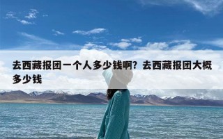 去西藏报团一个人多少钱啊？去西藏报团大概多少钱