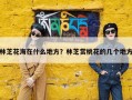 林芝花海在什么地方？林芝赏桃花的几个地方
