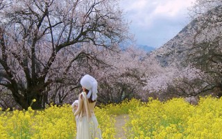 3月末去西藏费用大概多少？3月末去西藏旅游8天多少钱？