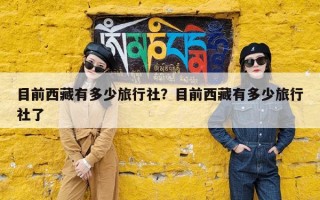 目前西藏有多少旅行社？目前西藏有多少旅行社了