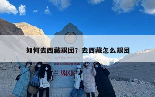 如何去西藏跟团？去西藏怎么跟团