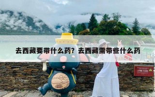 去西藏要带什么药？去西藏需带些什么药