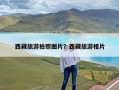 西藏旅游拍照图片？西藏旅游相片