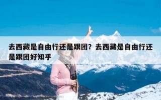 去西藏是自由行还是跟团？去西藏是自由行还是跟团好知乎