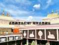 去西藏怎么打球？如何去西藏玩