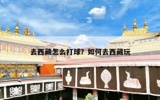 去西藏怎么打球？如何去西藏玩