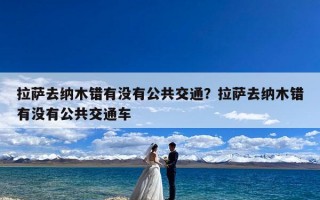 拉萨去纳木错有没有公共交通？拉萨去纳木错有没有公共交通车