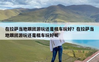 在拉萨当地跟团游玩还是租车玩好？在拉萨当地跟团游玩还是租车玩好呢