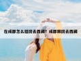 在成都怎么组团去西藏？成都跟团去西藏