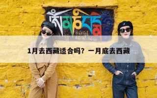 1月去西藏适合吗？一月底去西藏