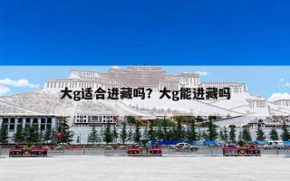 大g适合进藏吗？大g能进藏吗