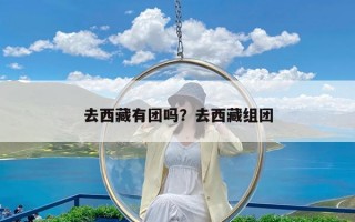 去西藏有团吗？去西藏组团