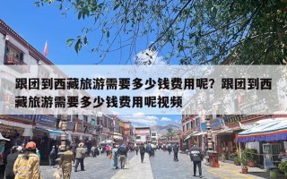 跟团到西藏旅游需要多少钱费用呢？跟团到西藏旅游需要多少钱费用呢视频
