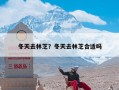 冬天去林芝？冬天去林芝合适吗