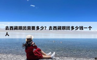 去西藏跟团需要多少？去西藏跟团多少钱一个人