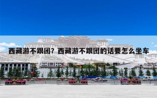 西藏游不跟团？西藏游不跟团的话要怎么坐车