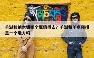羊湖和纳木错哪个更值得去？羊湖和羊卓雍措是一个地方吗