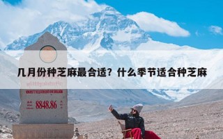 几月份种芝麻最合适？什么季节适合种芝麻