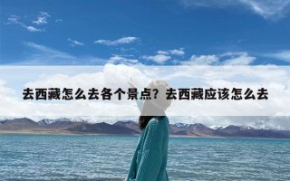 去西藏怎么去各个景点？去西藏应该怎么去