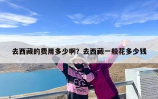 去西藏的费用多少啊？去西藏一般花多少钱