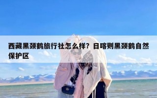 西藏黑颈鹤旅行社怎么样？日喀则黑颈鹤自然保护区