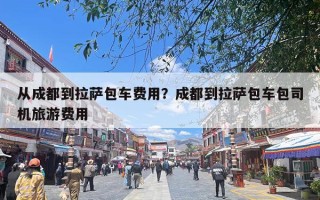 从成都到拉萨包车费用？成都到拉萨包车包司机旅游费用