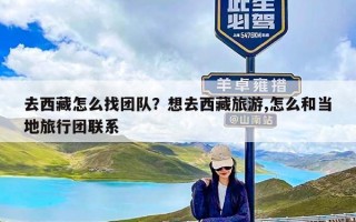 去西藏怎么找团队？想去西藏旅游,怎么和当地旅行团联系