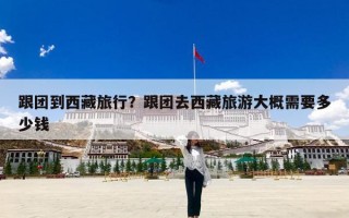 跟团到西藏旅行？跟团去西藏旅游大概需要多少钱