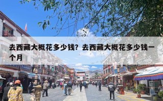 去西藏大概花多少钱？去西藏大概花多少钱一个月