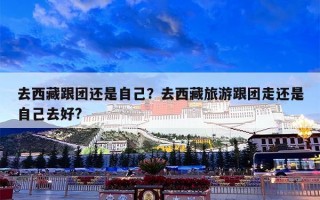 去西藏跟团还是自己？去西藏旅游跟团走还是自己去好?