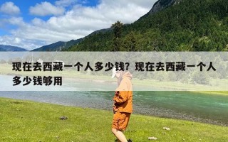 现在去西藏一个人多少钱？现在去西藏一个人多少钱够用