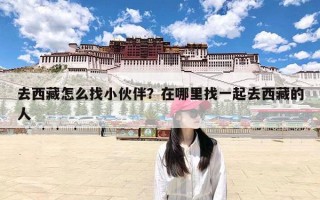去西藏怎么找小伙伴？在哪里找一起去西藏的人
