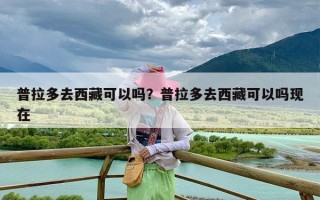 普拉多去西藏可以吗？普拉多去西藏可以吗现在
