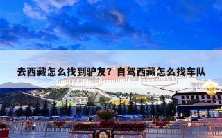 去西藏怎么找到驴友？自驾西藏怎么找车队
