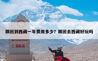 跟团到西藏一年费用多少？跟团去西藏好玩吗
