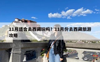 11月适合去西藏玩吗？11月份去西藏旅游攻略