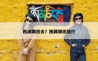 西藏跟团去？西藏跟团旅行
