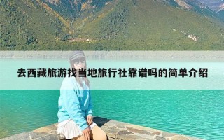 去西藏旅游找当地旅行社靠谱吗的简单介绍