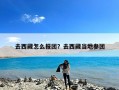 去西藏怎么报团？去西藏当地参团