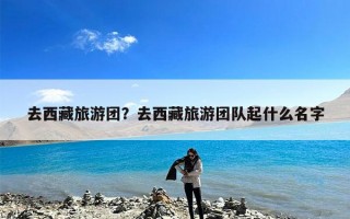 去西藏旅游团？去西藏旅游团队起什么名字