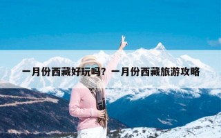 一月份西藏好玩吗？一月份西藏旅游攻略