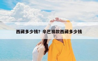 西藏多少钱？辛巴捐款西藏多少钱